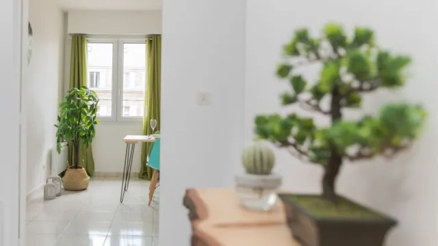 Appartement T3 - Mise en ambiance de biens vides - Amiens (80)